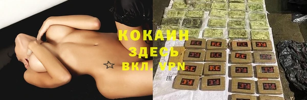 соль курить ск Дмитровск