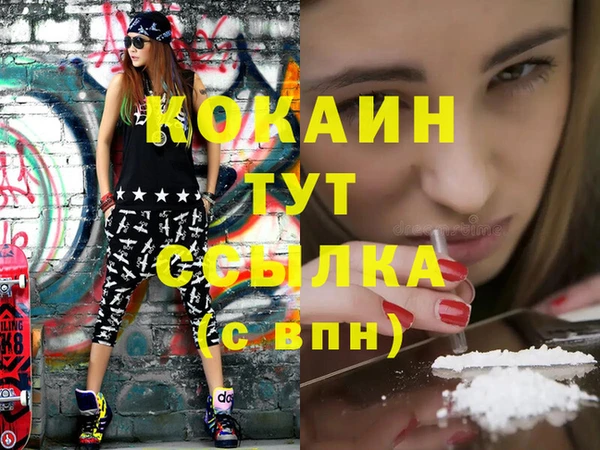 таблы Гусев