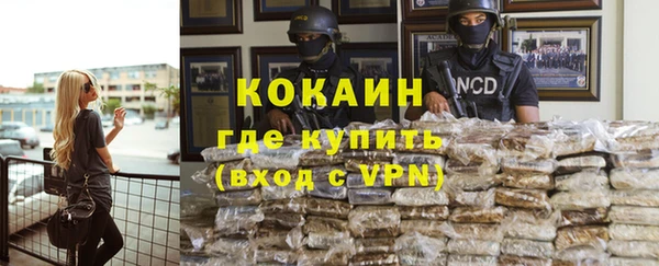 таблы Гусев