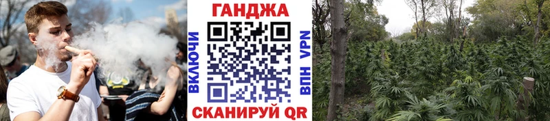 Конопля гибрид  Первоуральск 